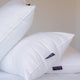 DOUXE Down Pillow 60x70 cm