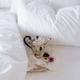 Mattress Protector