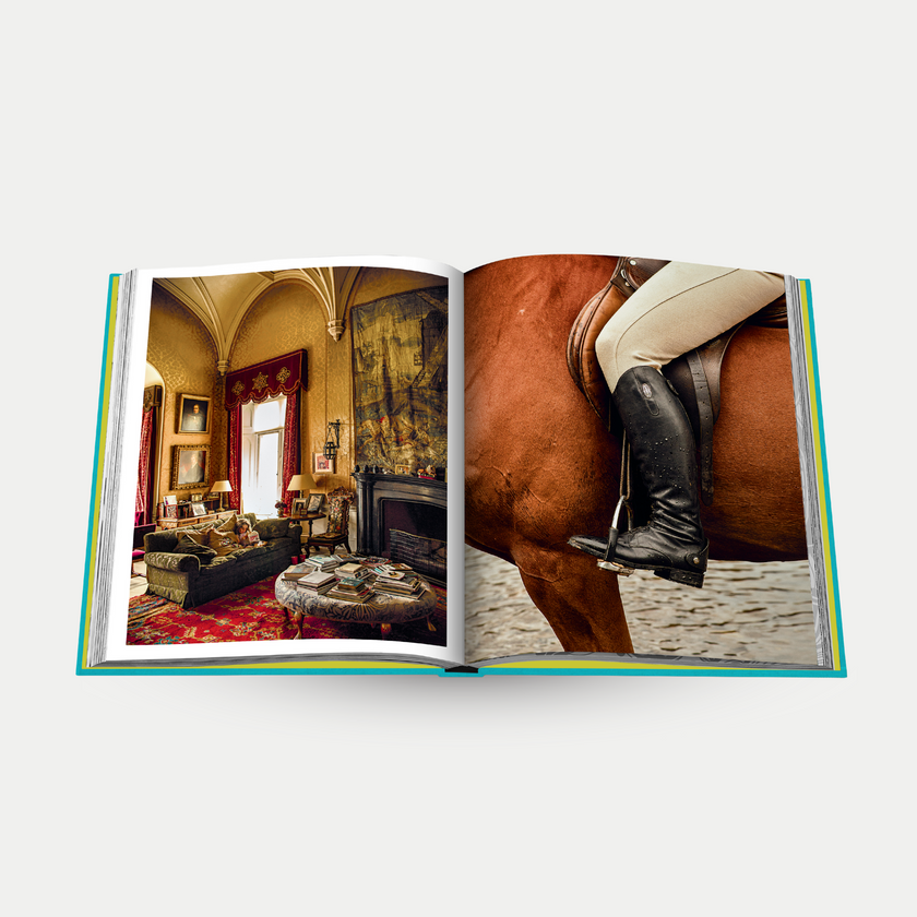 Chic Stays - Assouline Coffee Table Book