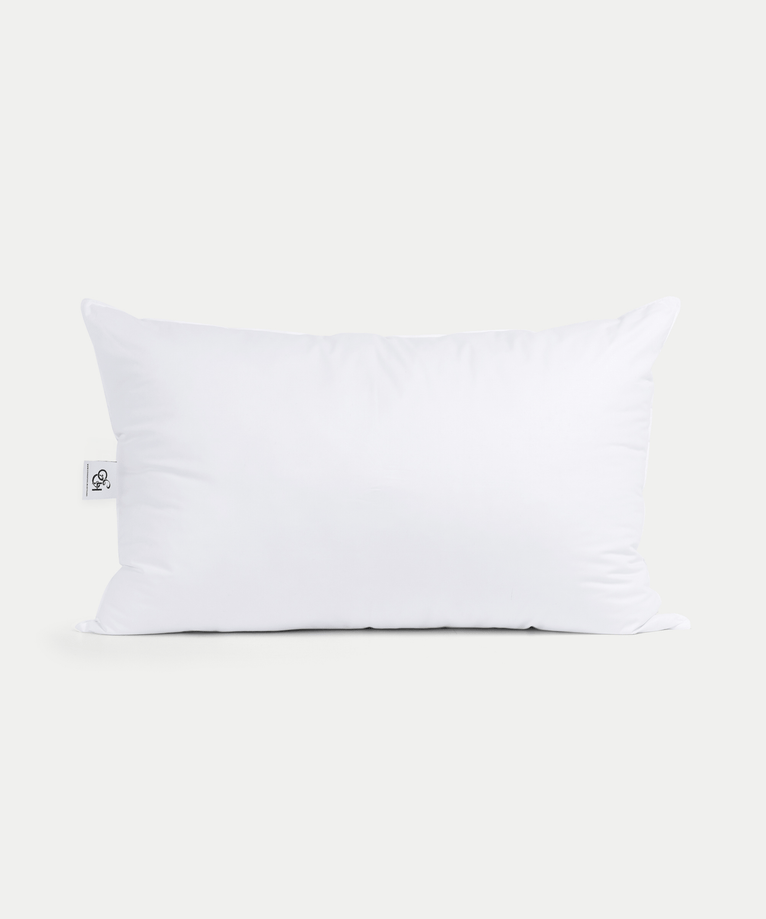 Efteling Grand Hotel Microfibre Pillow 60x90 cm