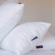Hotel Pillow Douxe | Luxury hotel quality Kingsize 50x90cm
