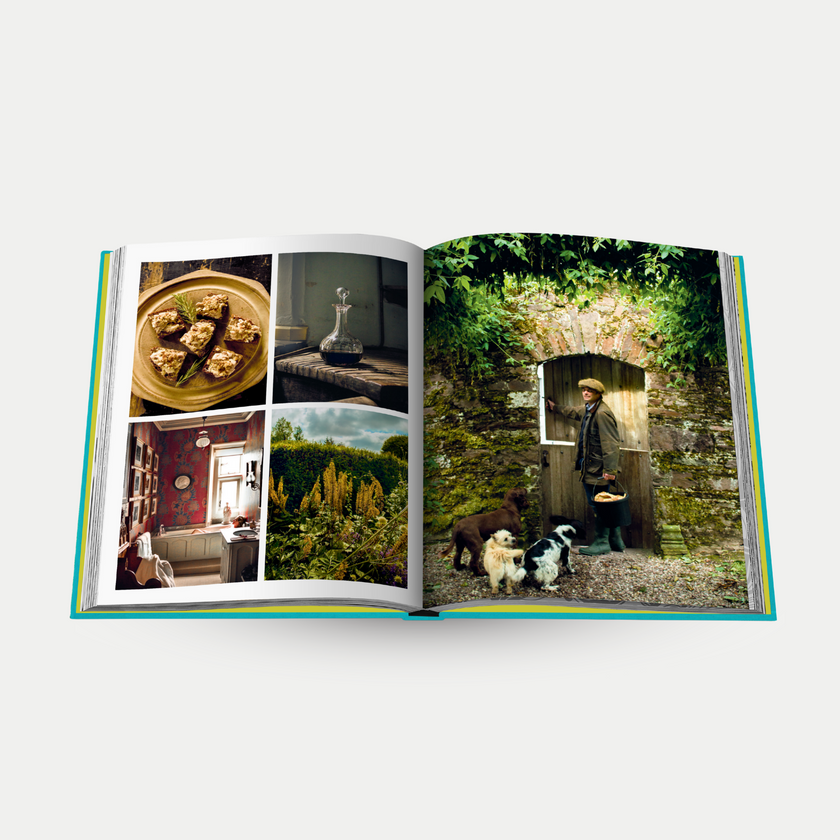 Chic Stays - Assouline Coffee Table Book