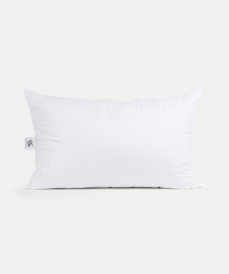Efteling Grand Hotel Microfibre Pillow 60x90 cm