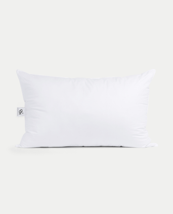Efteling Grand Hotel Microfibre Pillow 60x90 cm