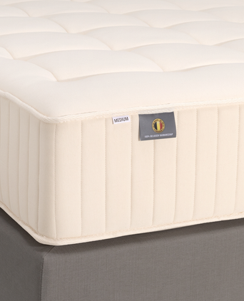 DOUXE Souplesse Mattress
