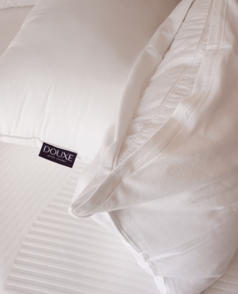 Pillow Protector Set (2 pcs)
